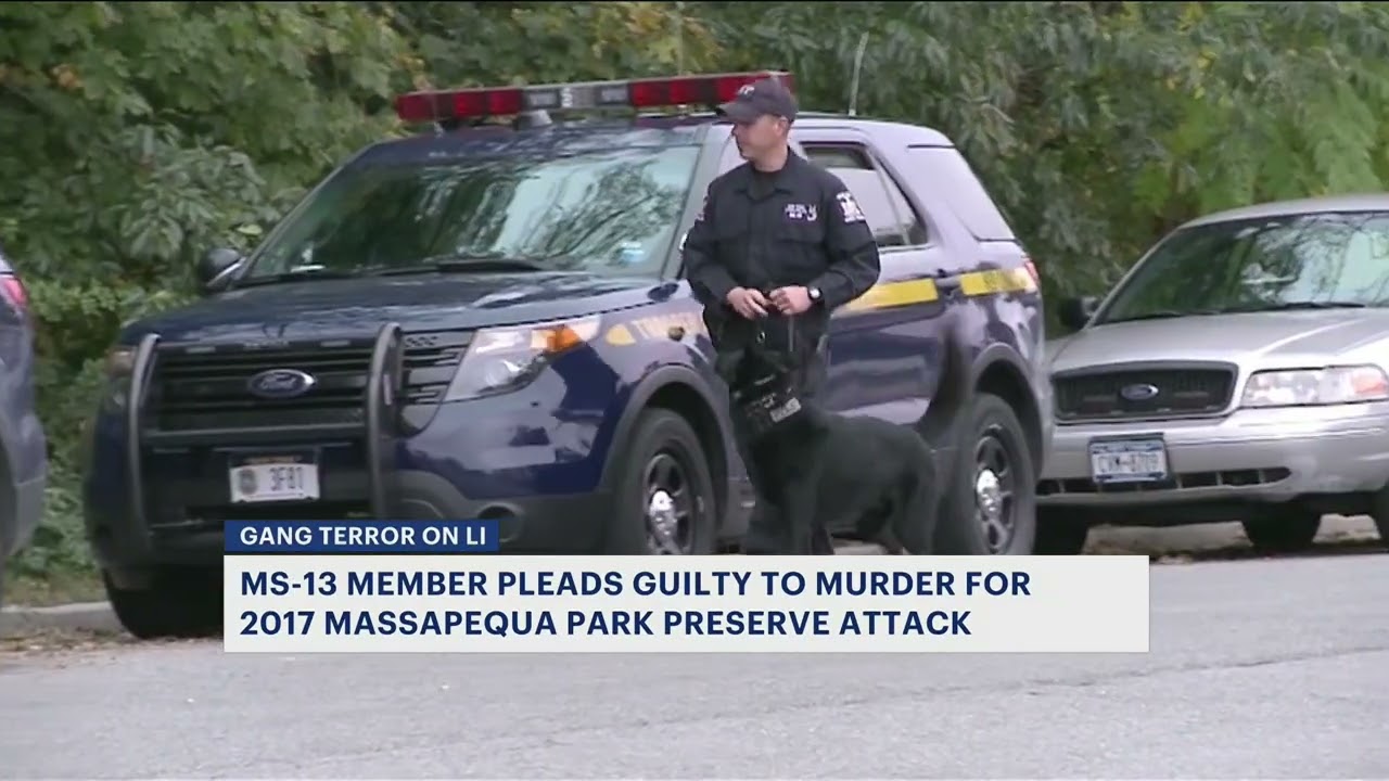 MS-13 Member Pleads Guilty In 2017 Murder Of Long Island Teen