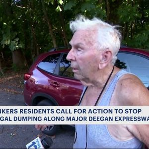 ‘Nobody wants to see that:’ Illegal dumping on I-87 angers Yonkers residents