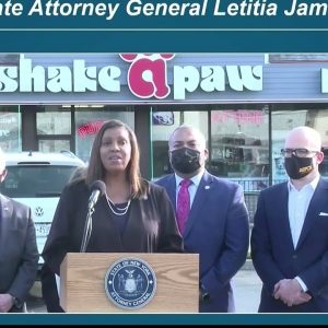 Customer: Dog bought from Shake A Paw had parasites, costing $5K in vet bills