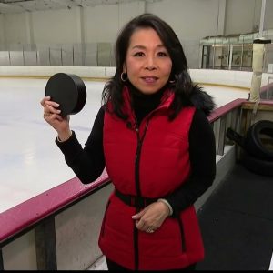 A0119LIBlindHockey