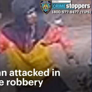 4 men attack woman, $40K in iPhones stolen in Brooklyn | News 12